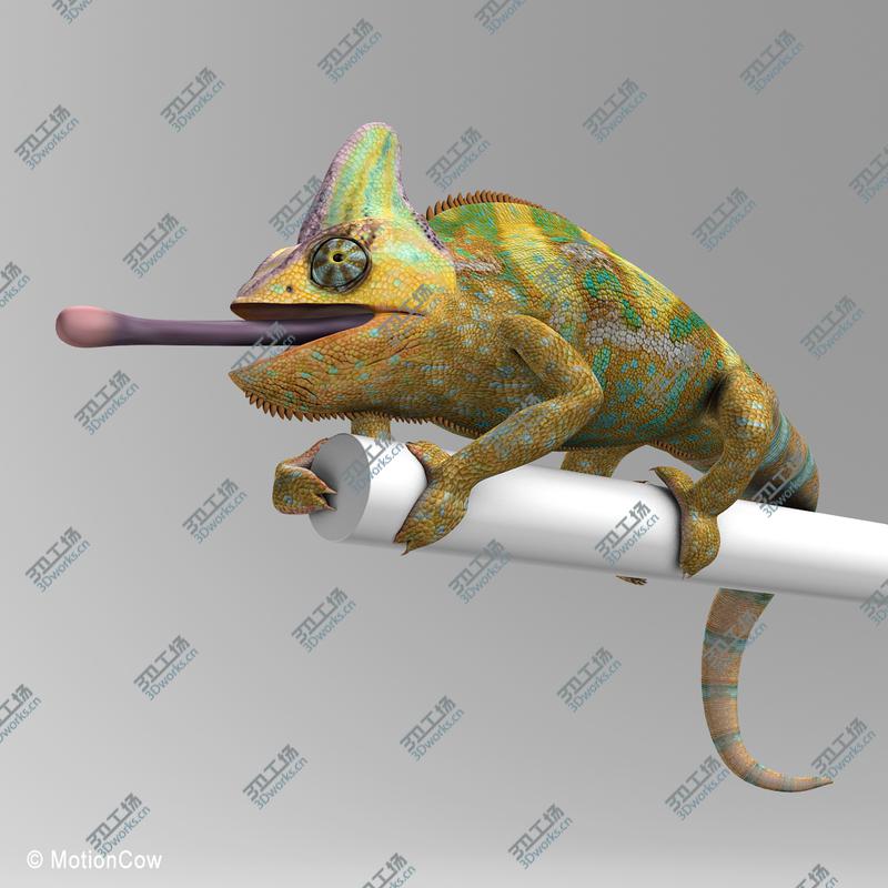 images/goods_img/202104022/Chameleon  Color/3.jpg